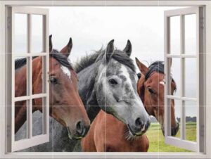 Animals Window View