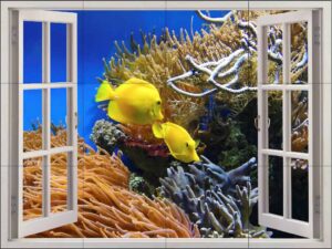 Sealife Window View