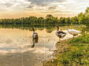 Goose by the Lake Mural