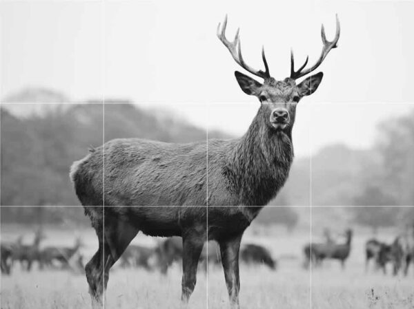 Stag in the Field Mural