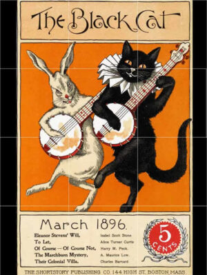 Black Cat Postcard