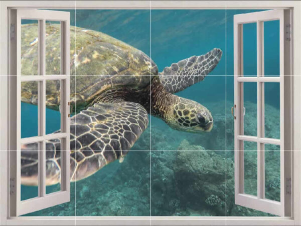 Tortoise Picture Tiles