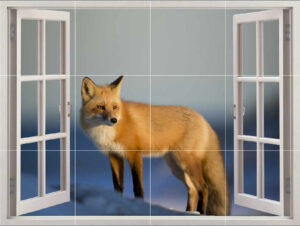 Fox Picture Tiles