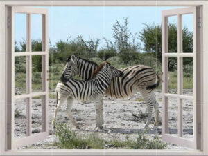 Zebra Picture Tile Mural