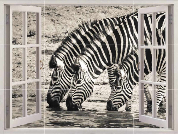 Zebra Picture Tile Mural