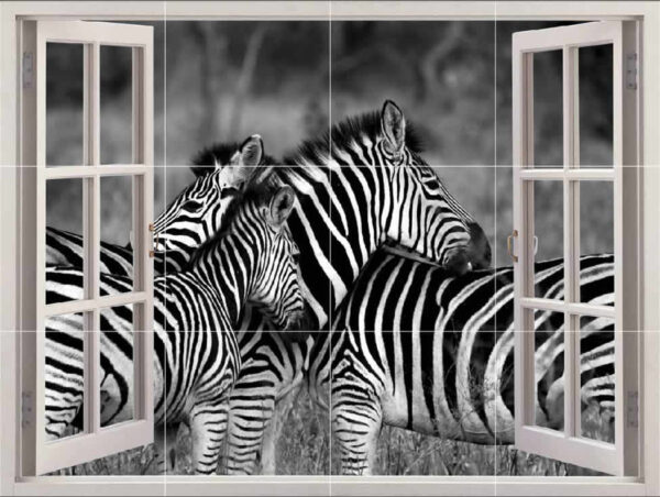 Zebra Picture Tile Mural