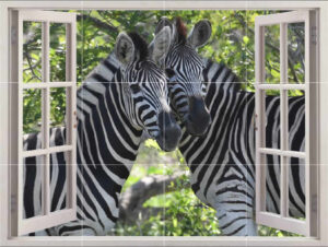 Zebra Picture Tile Mural