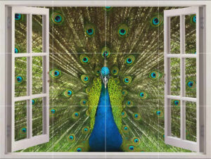 Peacock Picture Tiles