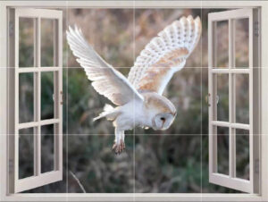 Owl Picture Tiles