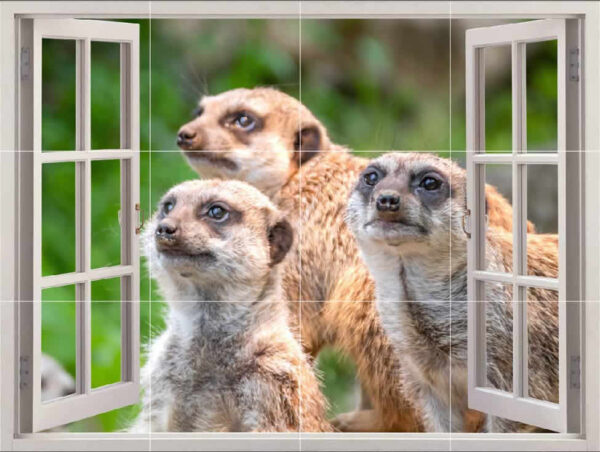 Meerkat Picture Tiles