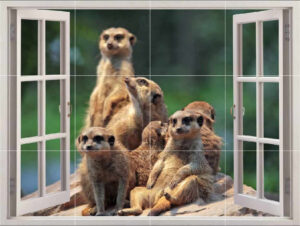 Meerkat Picture Tiles