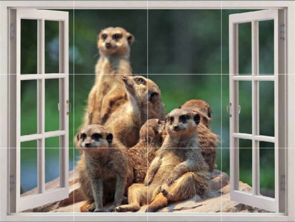 Meerkat Picture Tiles