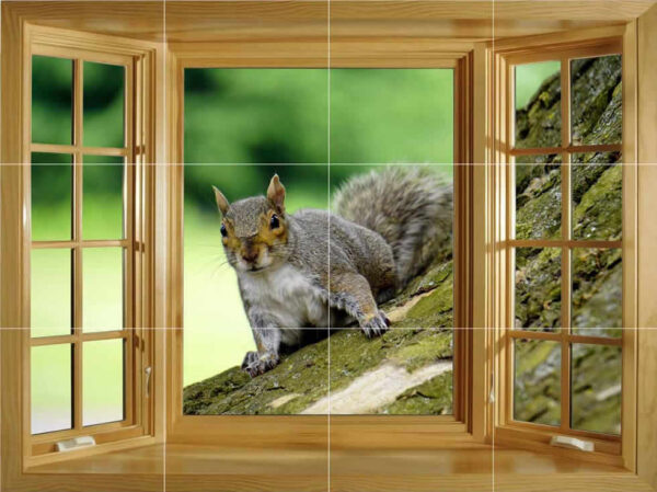 Squirrel on the Tree Window Splashback