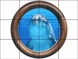 Wooden Porthole Dolphin Selfie