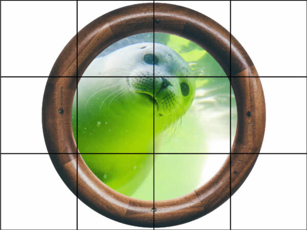 Wooden Porthole Seal Selfie