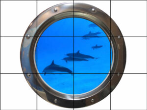 Chrome Porthole Group of Dolphins