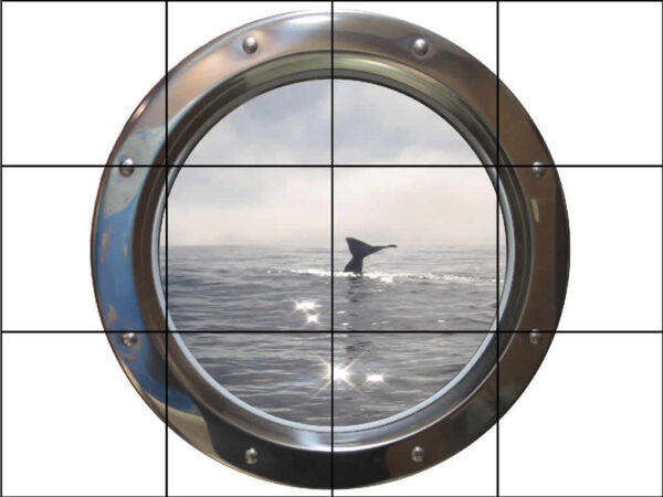 Chrome Porthole Shining Whale Tail