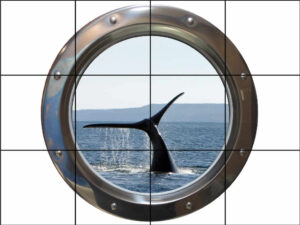 Chrome Porthole Whale Tail at Sea