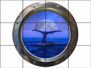 Chrome Porthole Whale Tail in the Moonlight