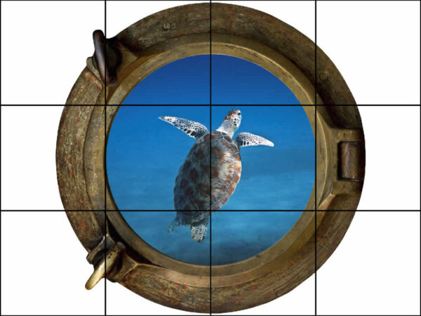 Brass Porthole Turtle Coming up for Air