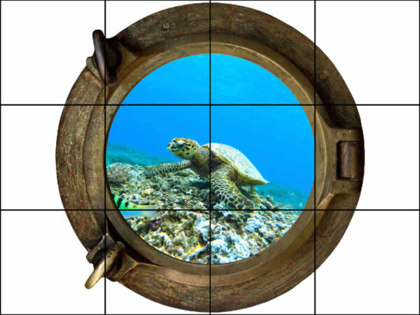 Brass Porthole Turtle on the Corel