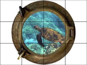 Brass Porthole Turtle on the Seabed