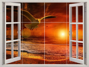 Seagull at Sunset Window View