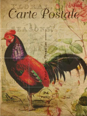 Carte Rooster Postale Mural