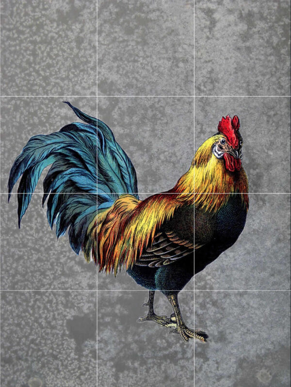 Rooster Solo Tile Mural