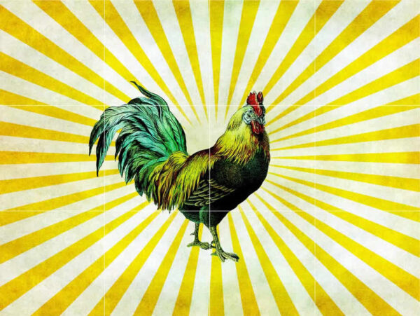 Sunrise Rooster 2 Tile Mural