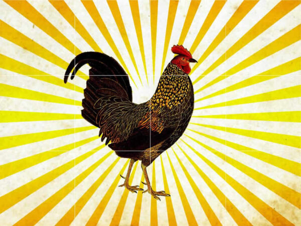 Sunrise Rooster 3 Tile Mural