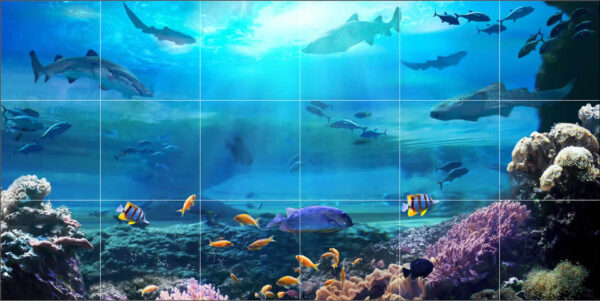 Dive 2 Tile Mural