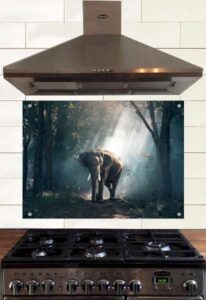 Animal Glass Splashbacks